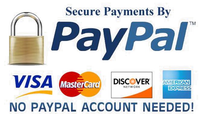 paypal secure payment methods