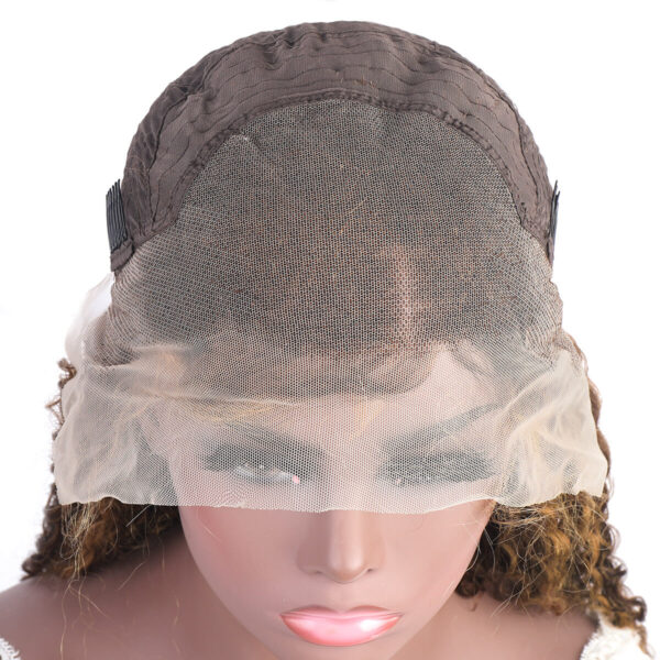 human hair highlight 13x4 lace front wig