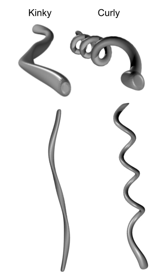 kinky vs curly