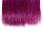 T1B purple hair weave bundles
